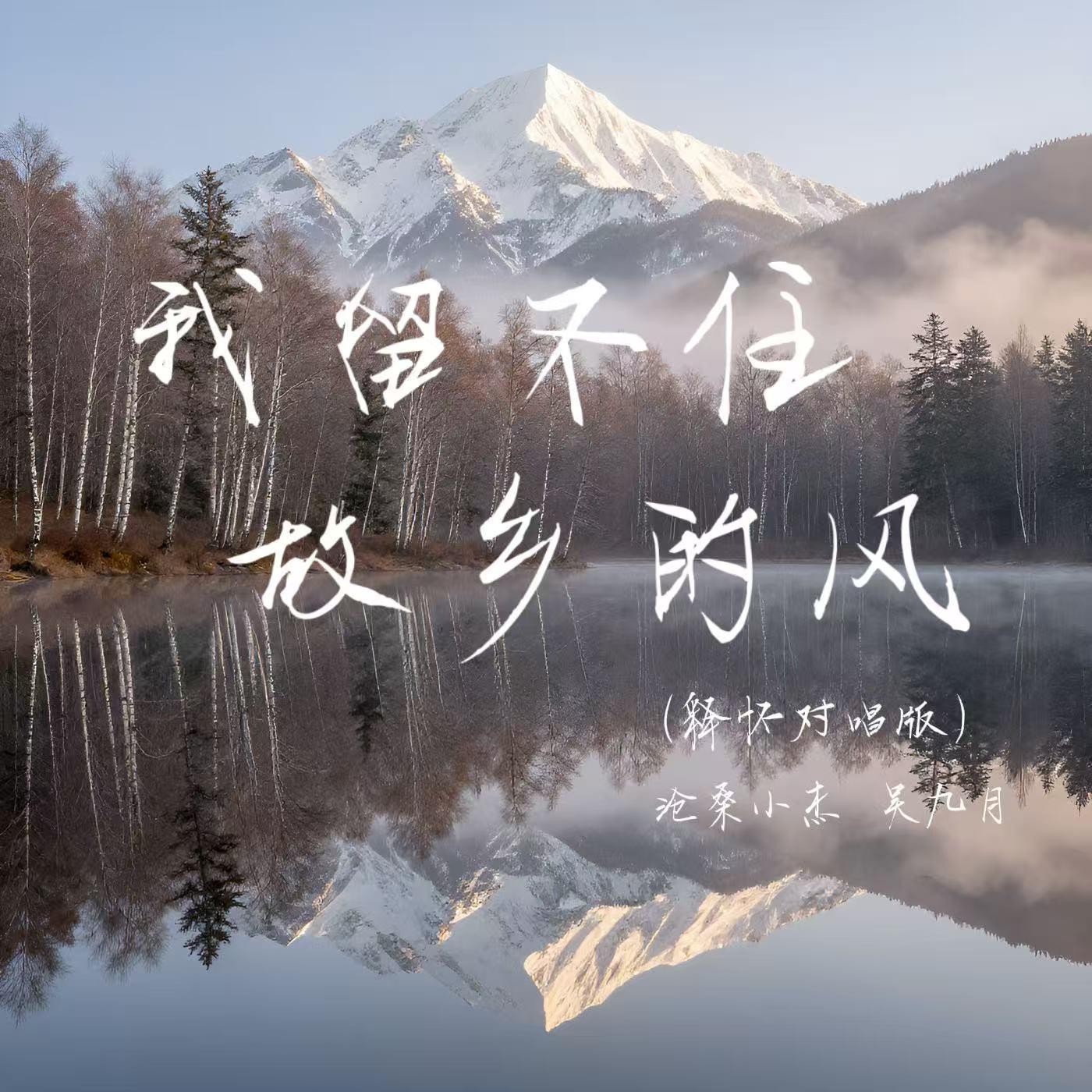 我留不住故乡的风（释怀对唱版）封面