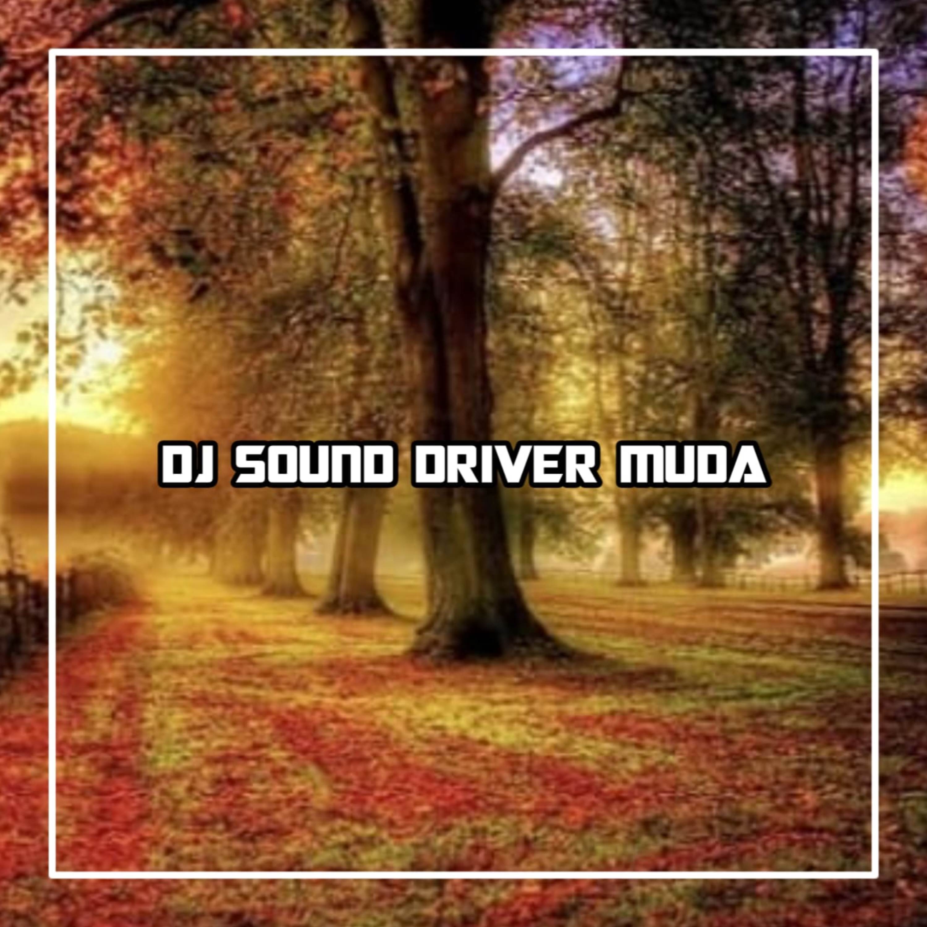 DJ Walau Kau Hanya Driver Muda Tapi Cintaku Padamu Takkan Mendua