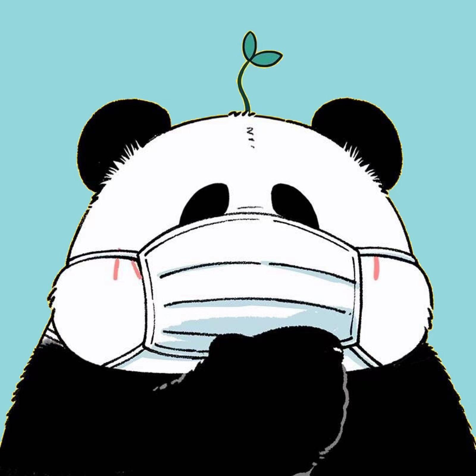 起风了(旧版)封面