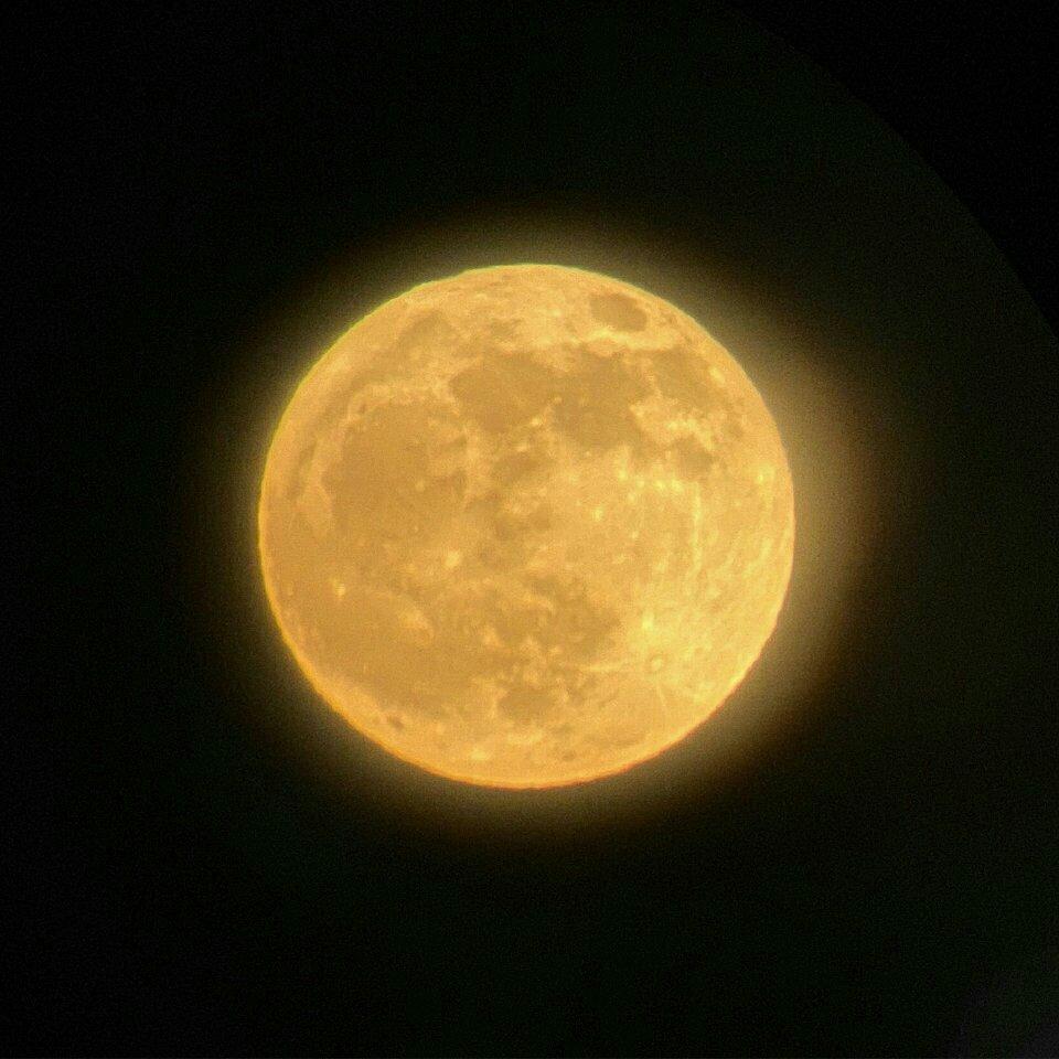 熊猫星系漫游记――徐均朔