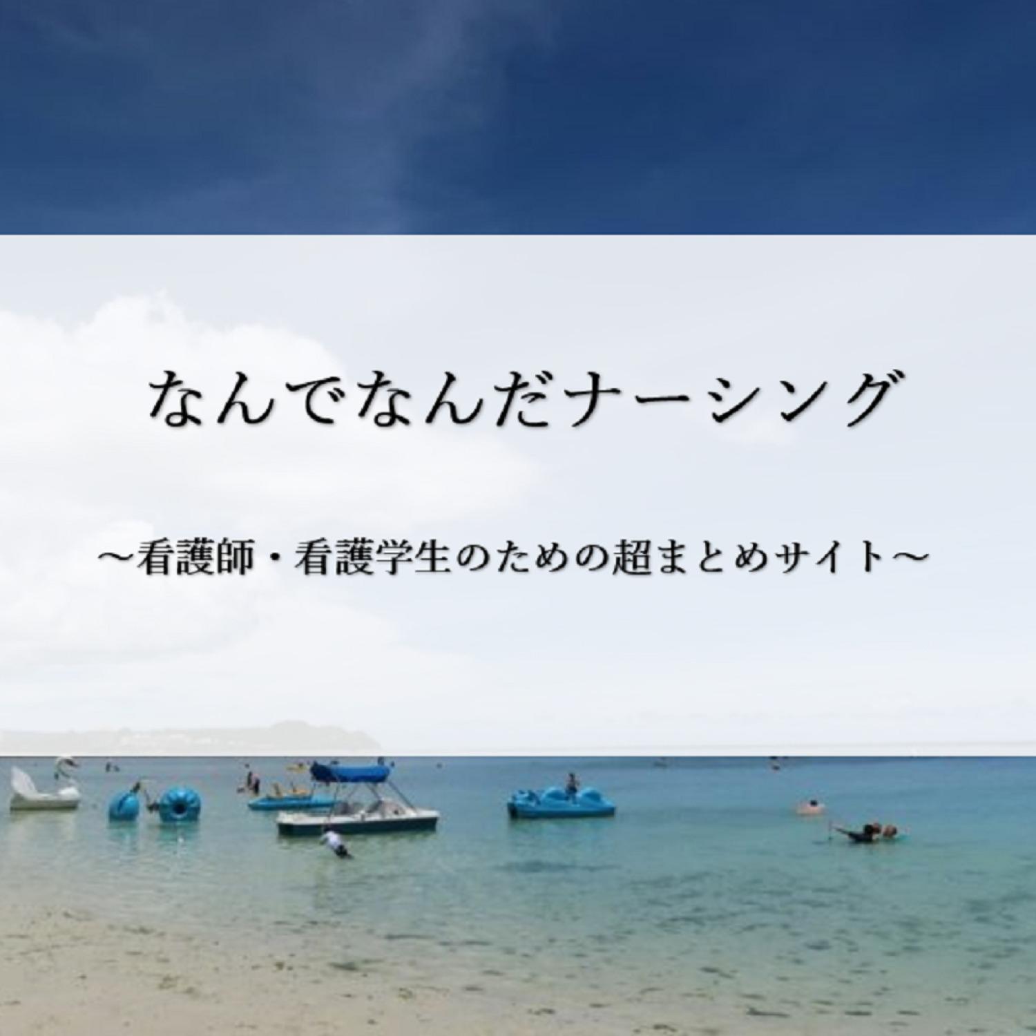 しっかり整理整頓！情報収集の素：ヘンダーソンの看護の基本となるもの封面