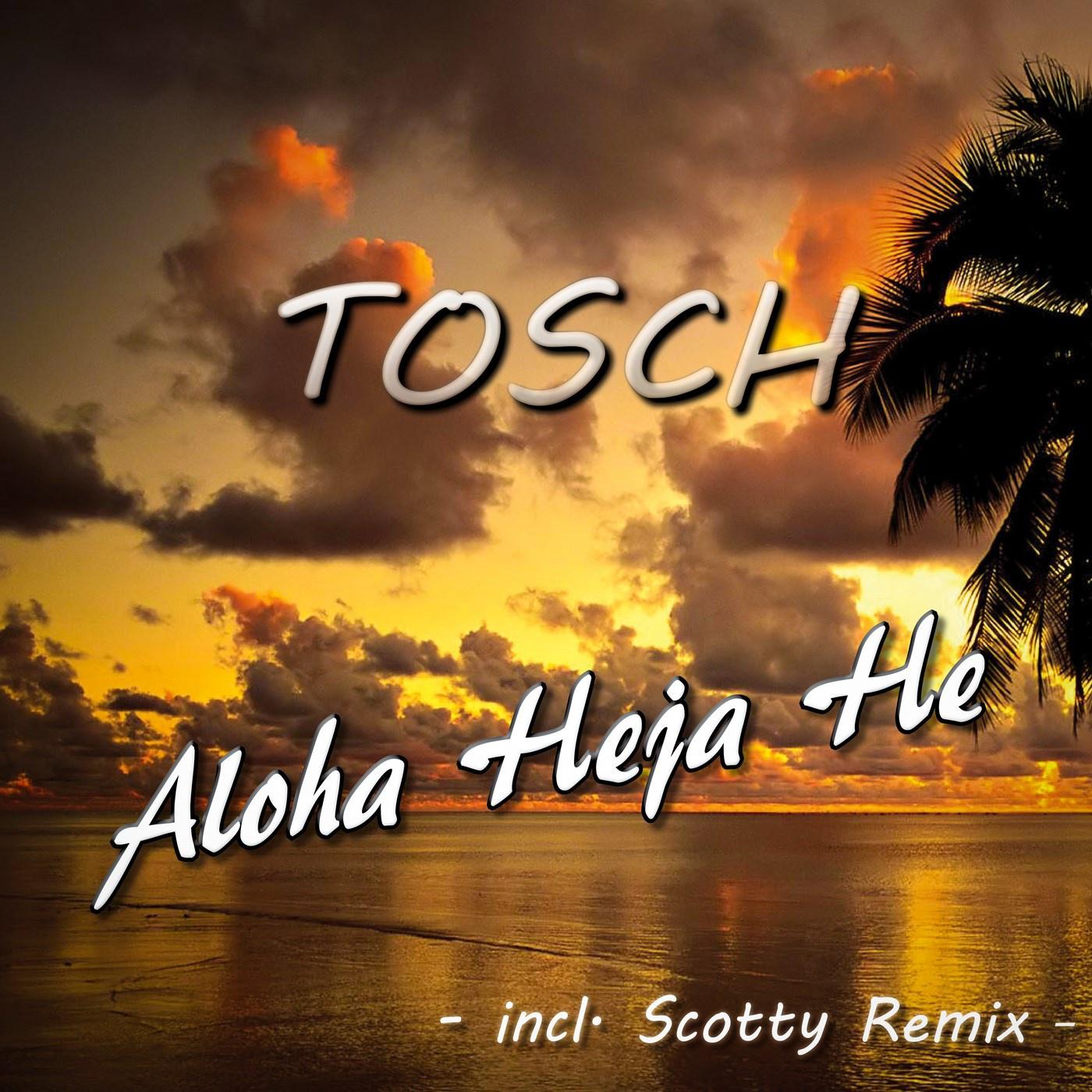 aloha heja he(scotty remix edit)