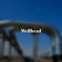 Wellhead