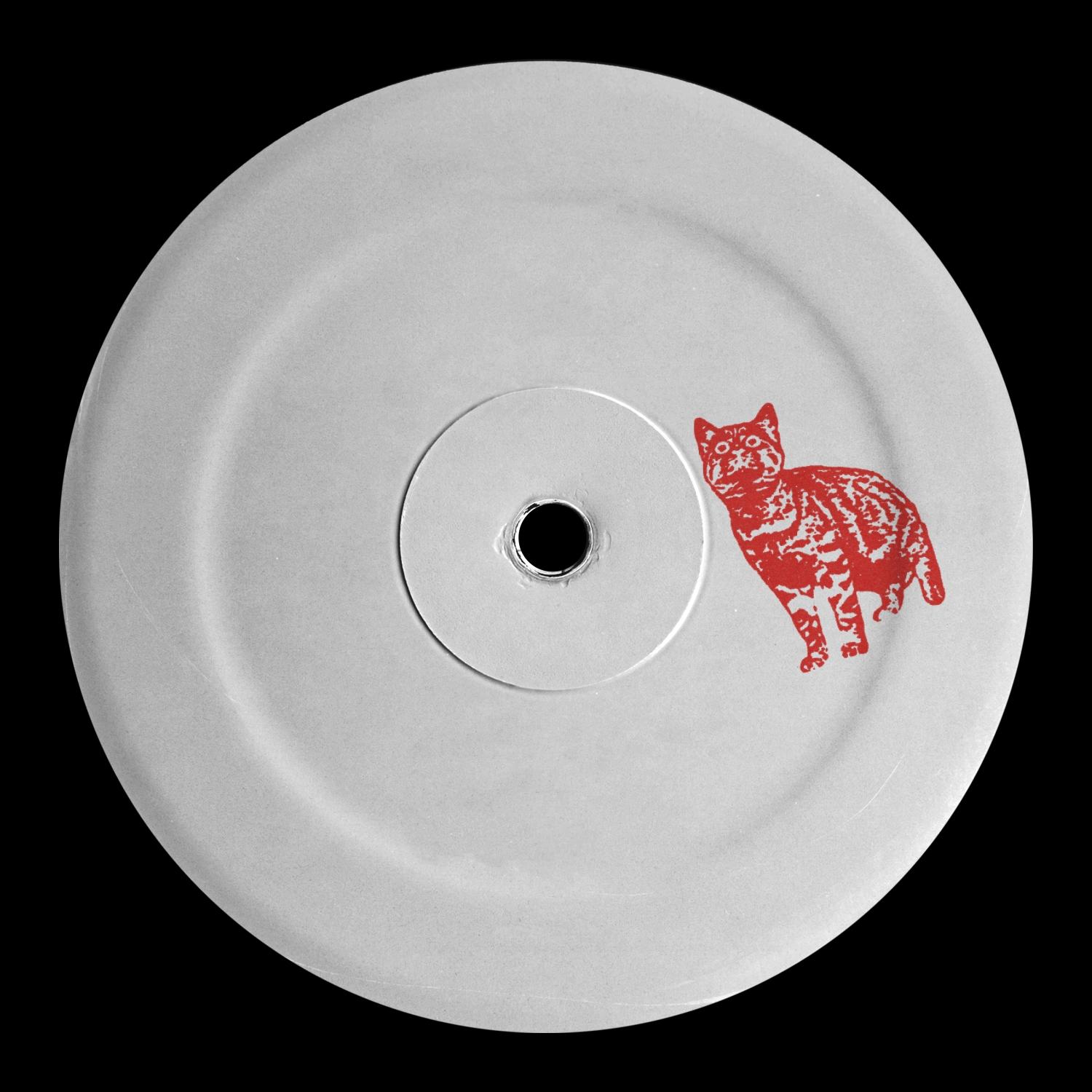 Paradise Falls (Tim Reaper Remix)