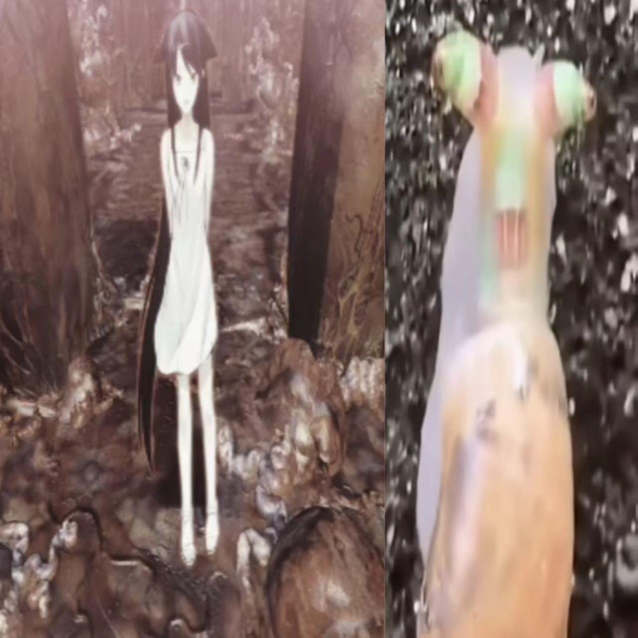 Green Apple Snail#（德亚琪蜗牛）prod.Pawtosiu