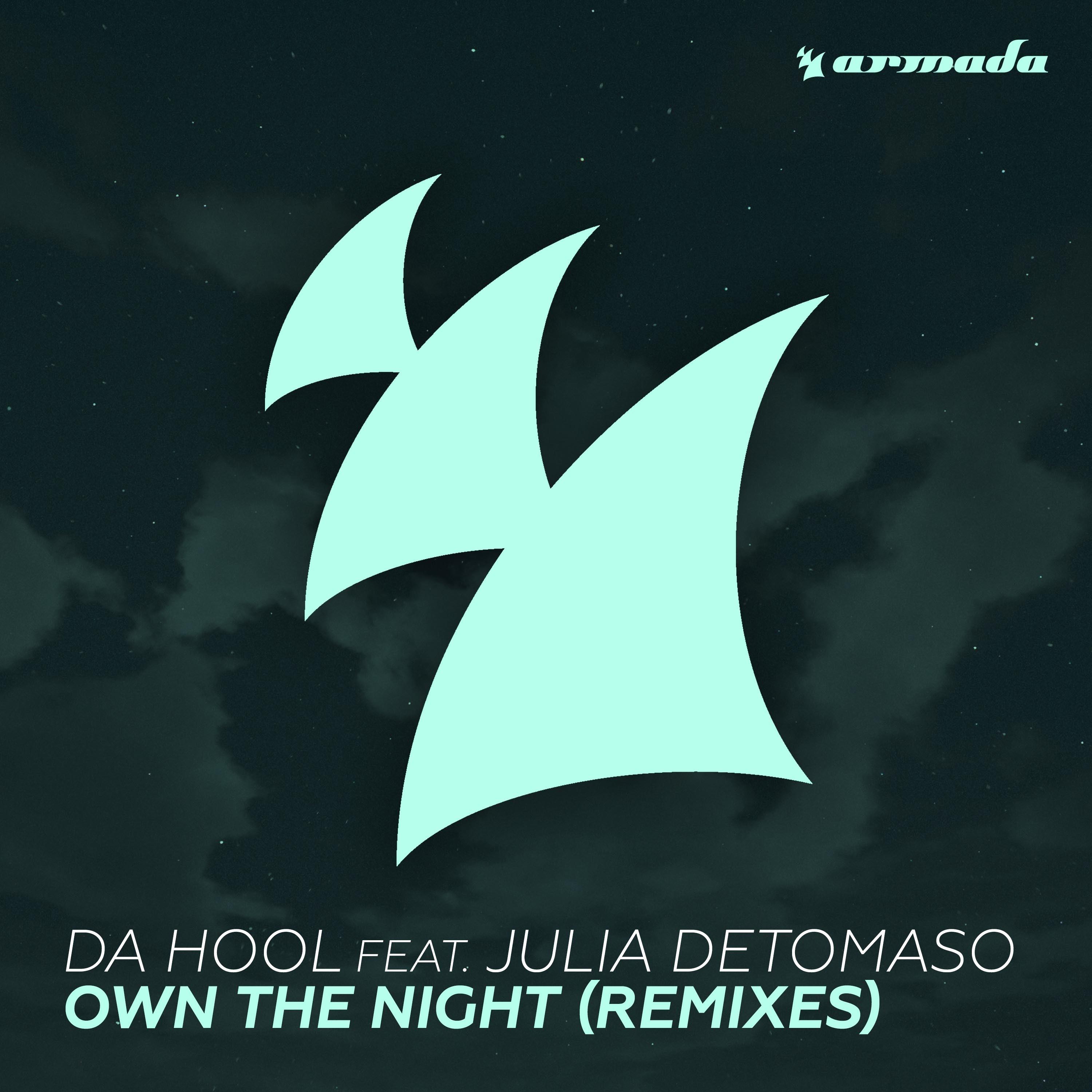 Own The Night (Cyborgs and Da Hool Remix)