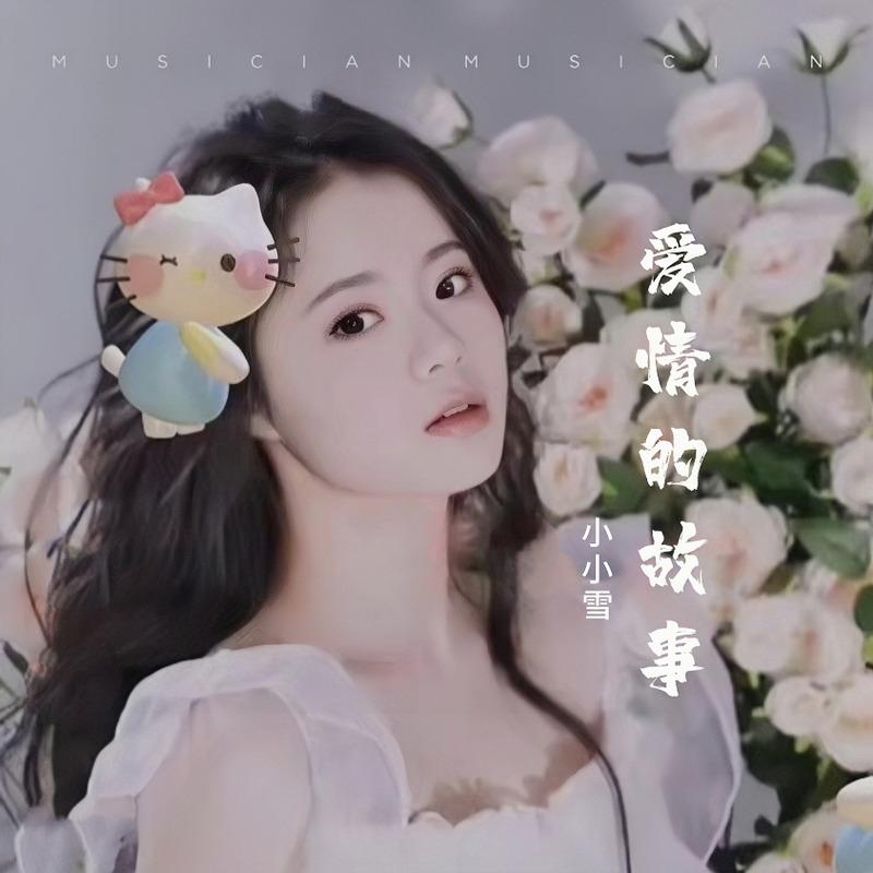 爱的故事上集 (Live) - 小小雪封面