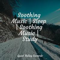 Soothing Music | Sleep | Soothing Music | Study