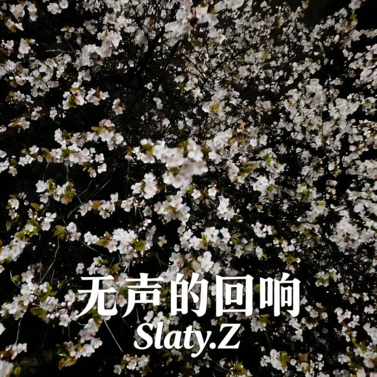 无声的回响封面