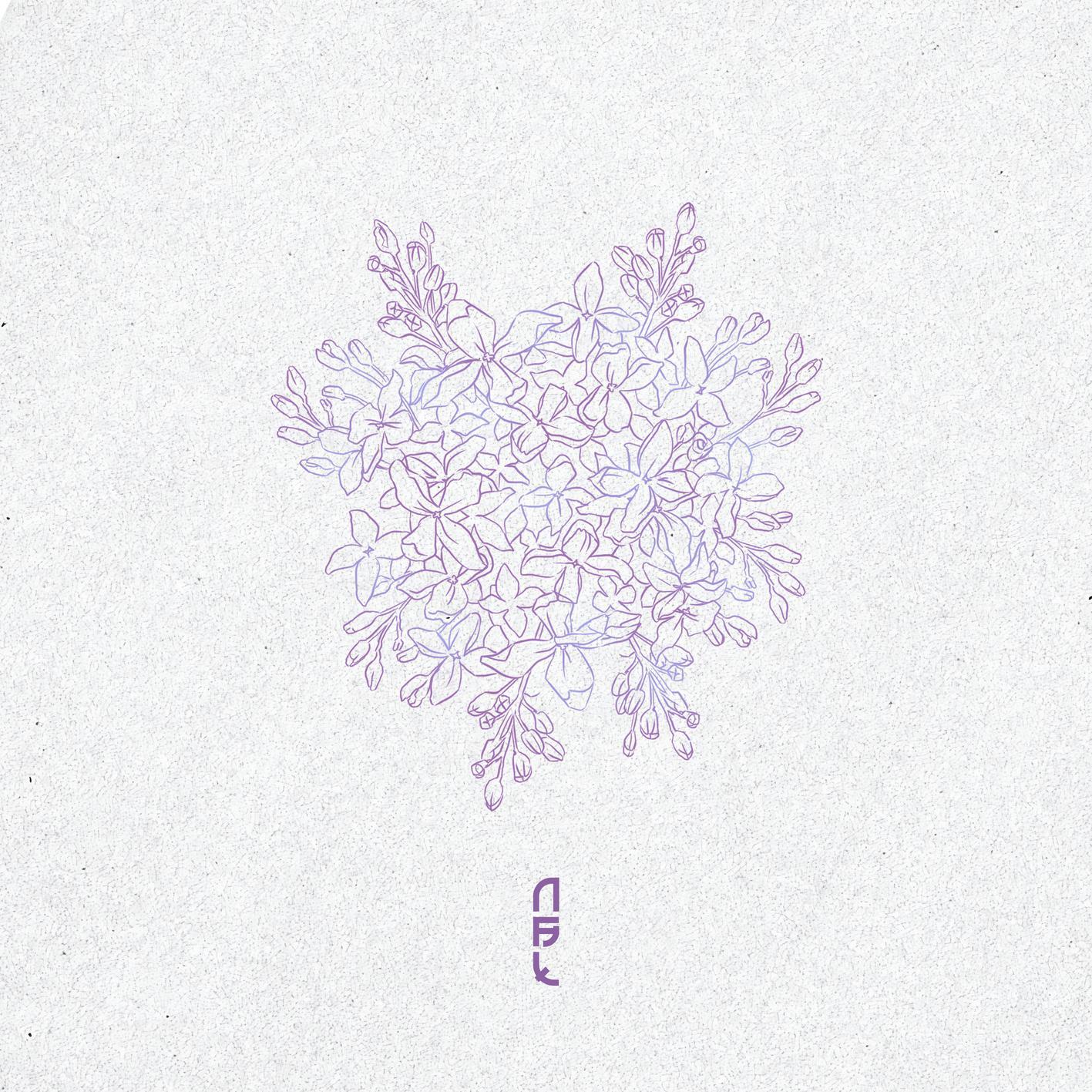 2026婚礼电影 MV专用 情绪递进 高潮部分