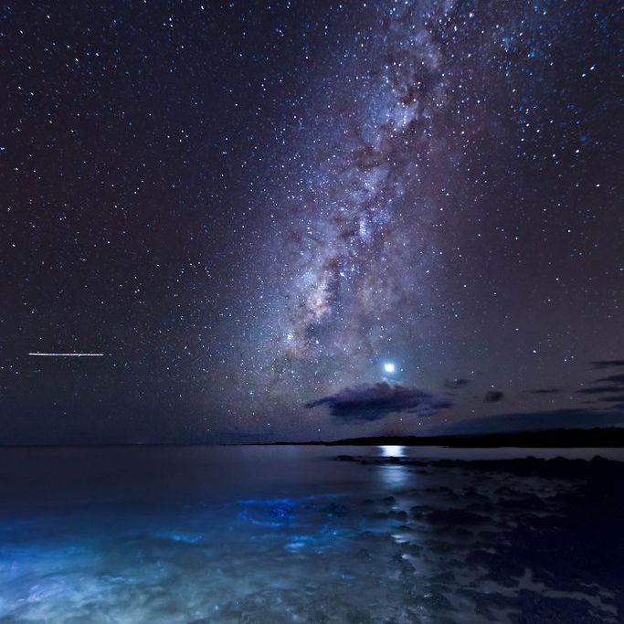 Starlight（Keep Me Afloat）-（ChAn. remix）