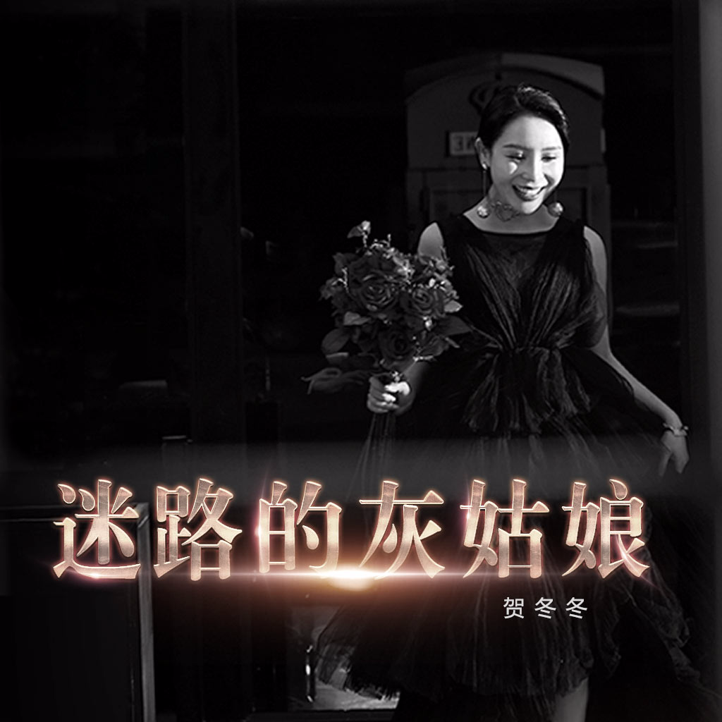 迷路的灰姑娘封面