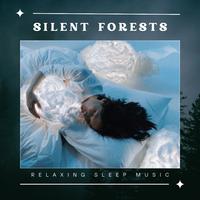 Silent Forests: Calm Sleep Music