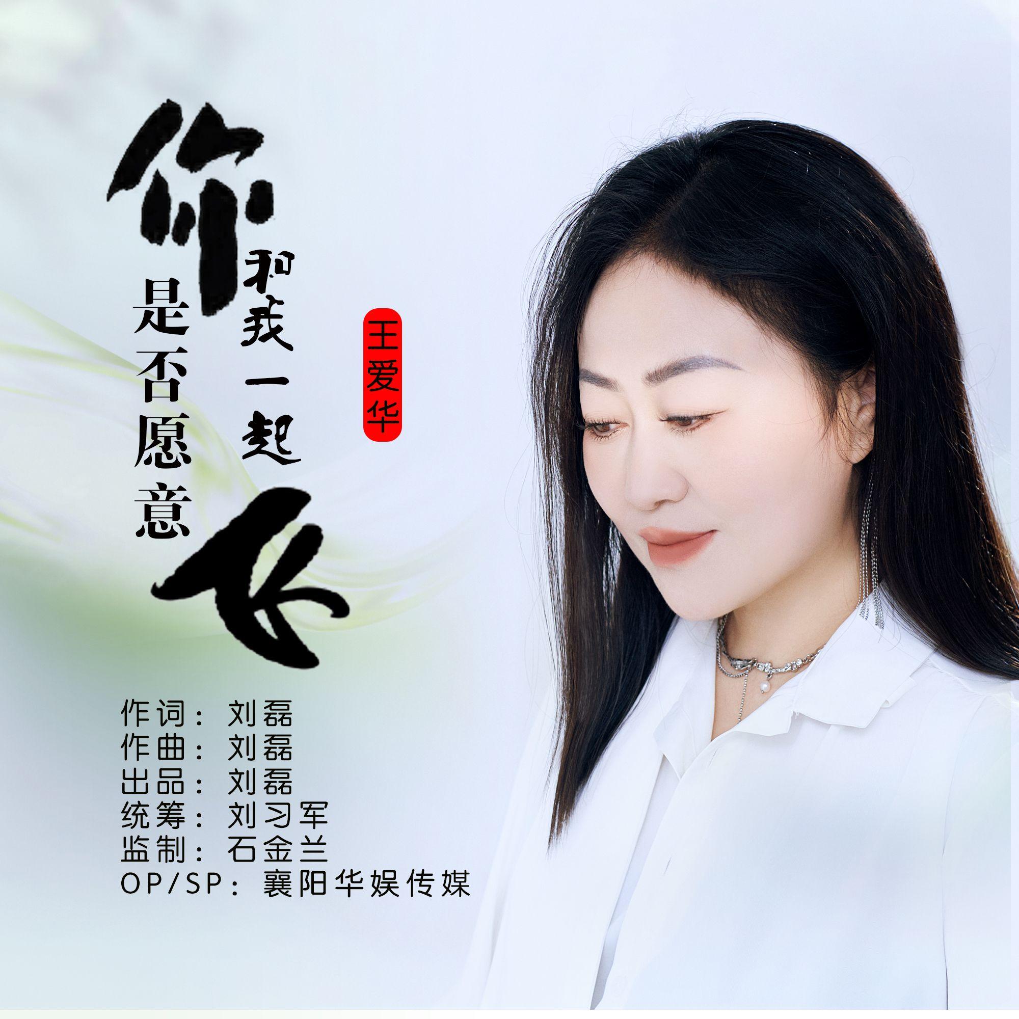 你是否愿意和我一起飞（DJ版） - 王爱华封面