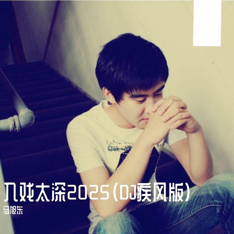 入戏太深2025（DJ版） - 马旭东封面