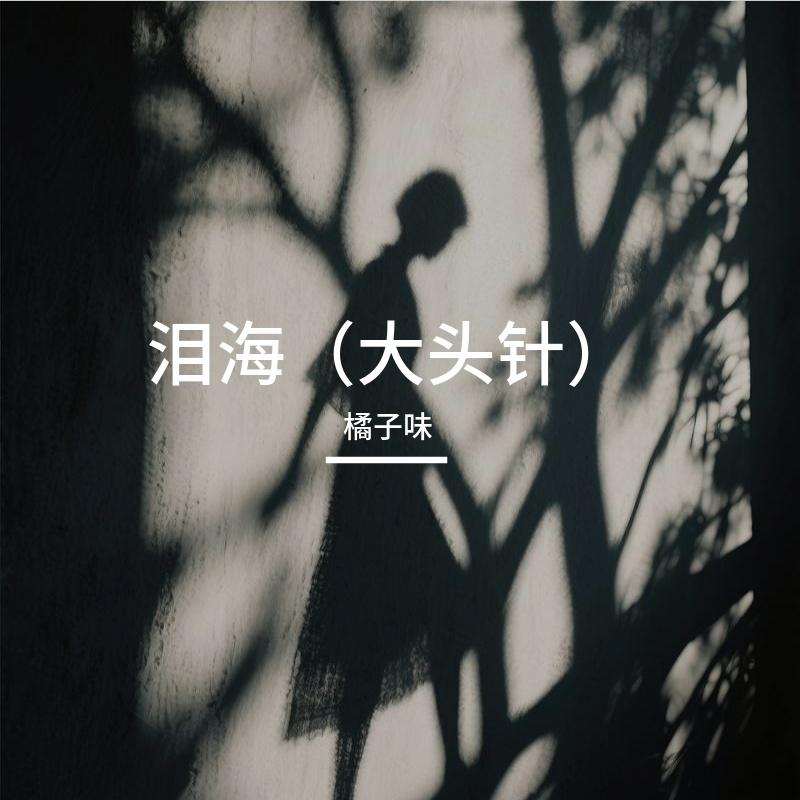 泪海(大头针)封面