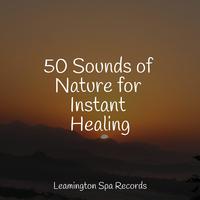 50 Sounds of Nature for Instant Healing