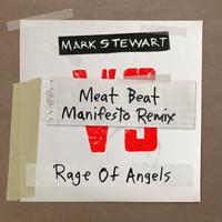 Rage of Angels (Meat Beat Manifesto Remix)