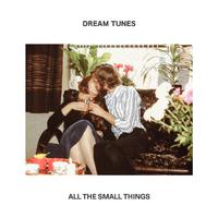 All The Small Things