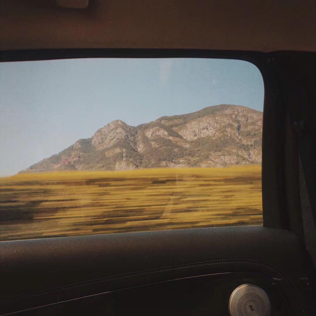 赧然的贼（翻自 焦迈奇）