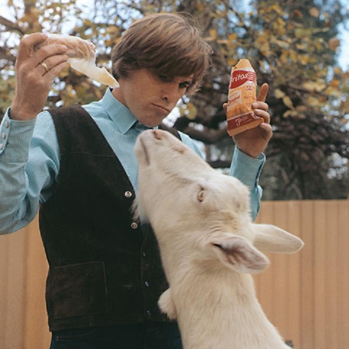 Dennis Wilson 歌手 网易云音乐