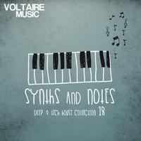 Synths and Notes 18 (Deep & Tech House Collection)