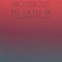 Prosperous Pliable