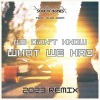 We Didn't Know What We Had (2023 Remix)