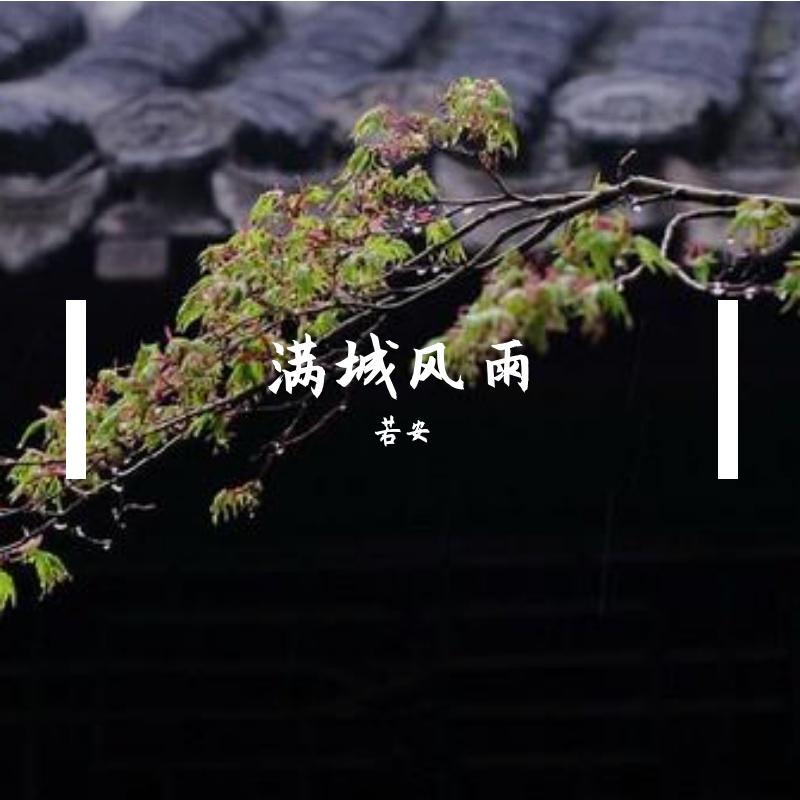 晚夜微雨问海棠-竹笛版封面