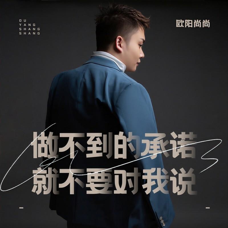 做不到的承诺就不要对我说 (DJ默涵版)封面