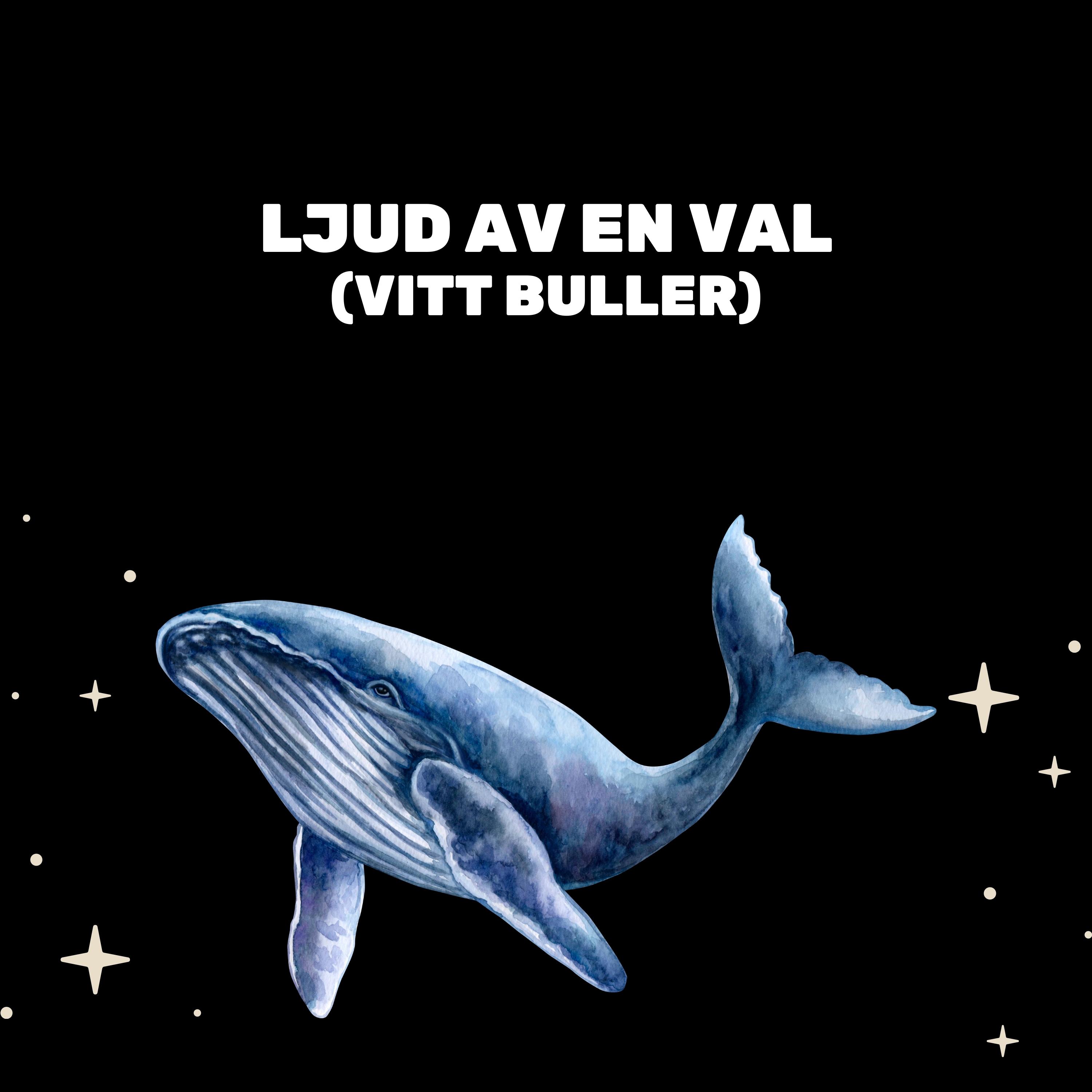 Ljud Av En Val (Vitt Buller)