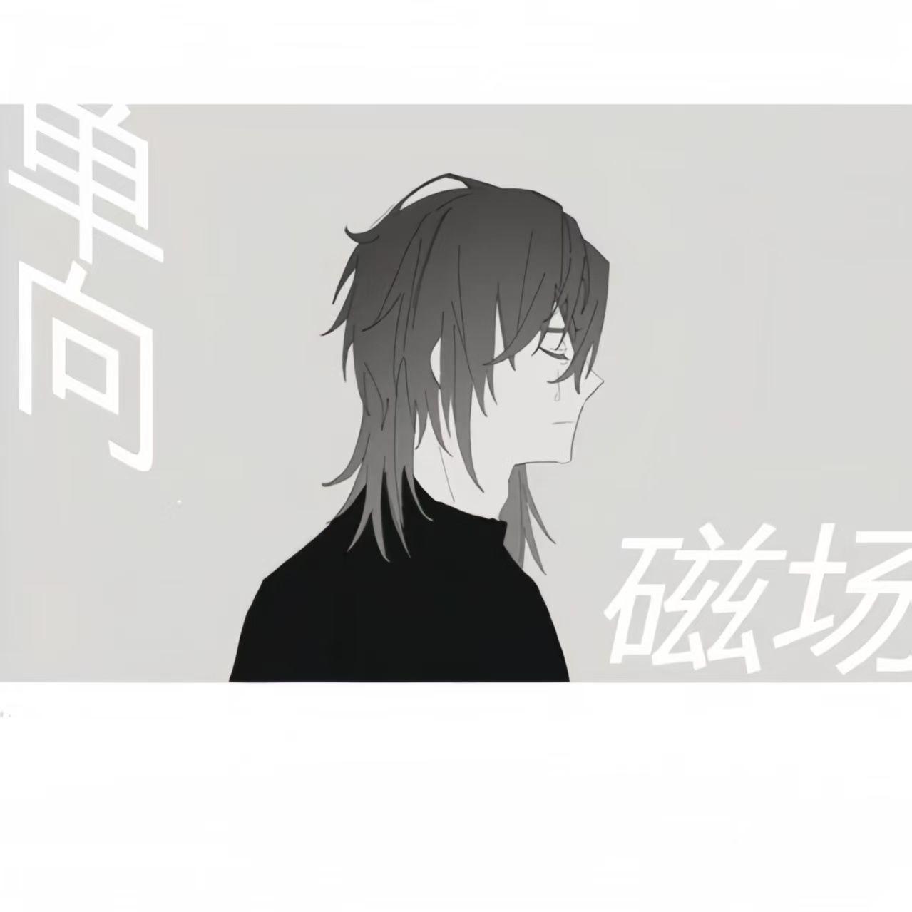 单向磁场封面