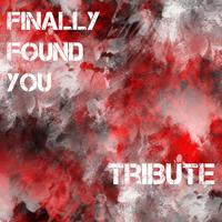 Finally Found You (Tribute to Enrique Iglesias Feat. Sammy Adams)