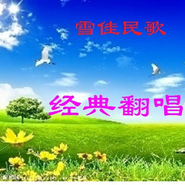 谢泽嘉-月下待杜鹃不来封面