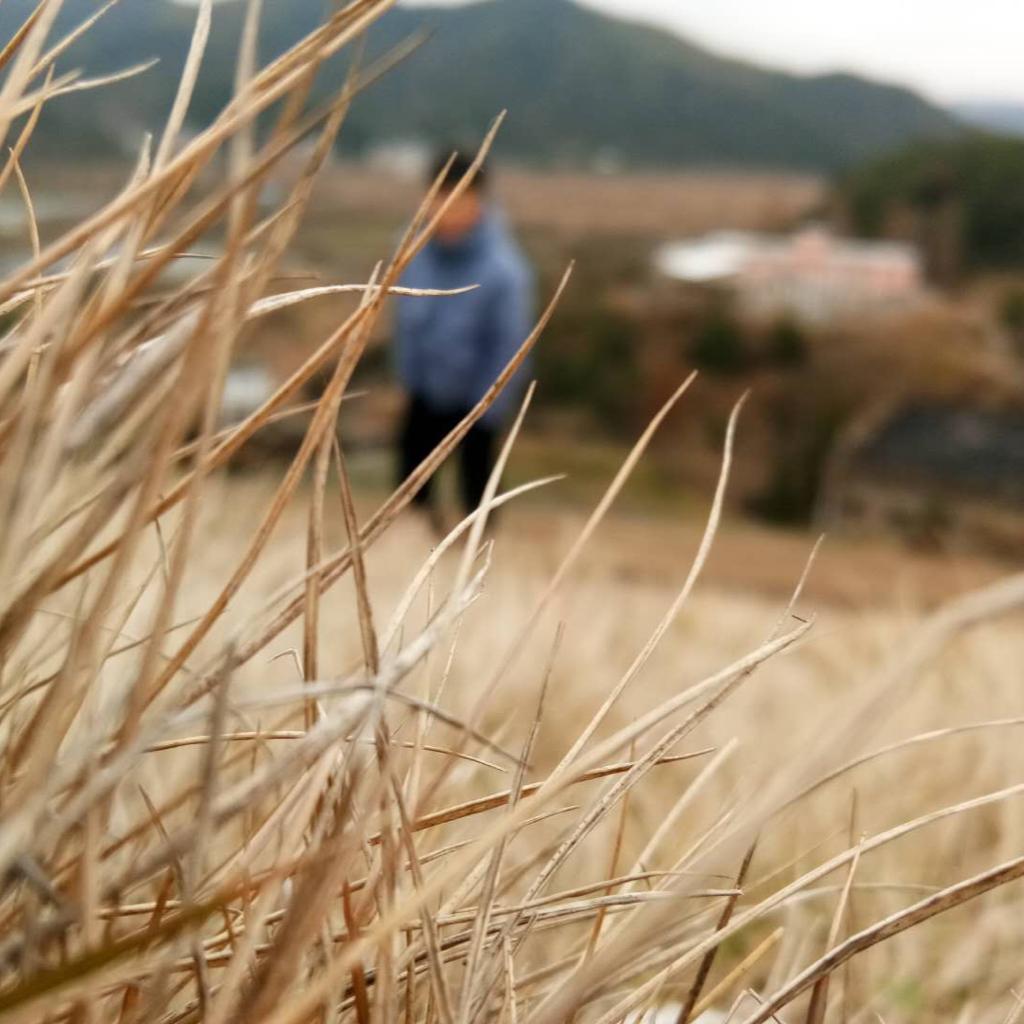 我的一个道姑朋友故事 剑三虐心剧情故事原来