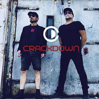 Crackdown 2015-2020