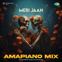 Meri Jaan - Amapiano Mix