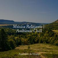 Música Relajante | Ambiente Chill