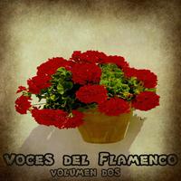 Voces del Flamenco Vol. 2