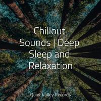 Chillout Sounds | Deep Sleep and Relaxation