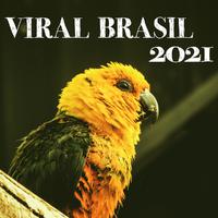 Viral Brasil 2021