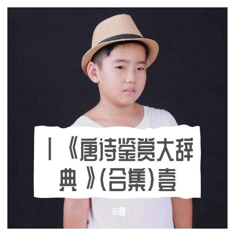 Ⅵ唐诗鉴赏大辞典（陆）望月怀远、归燕诗、赋得自君之出矣、登鹳雀楼、凉州词、秋登万山寄张五封面