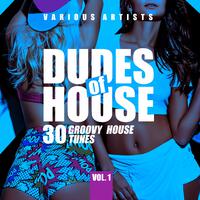 Dudes of House (30 Groovy House Tunes), Vol. 1