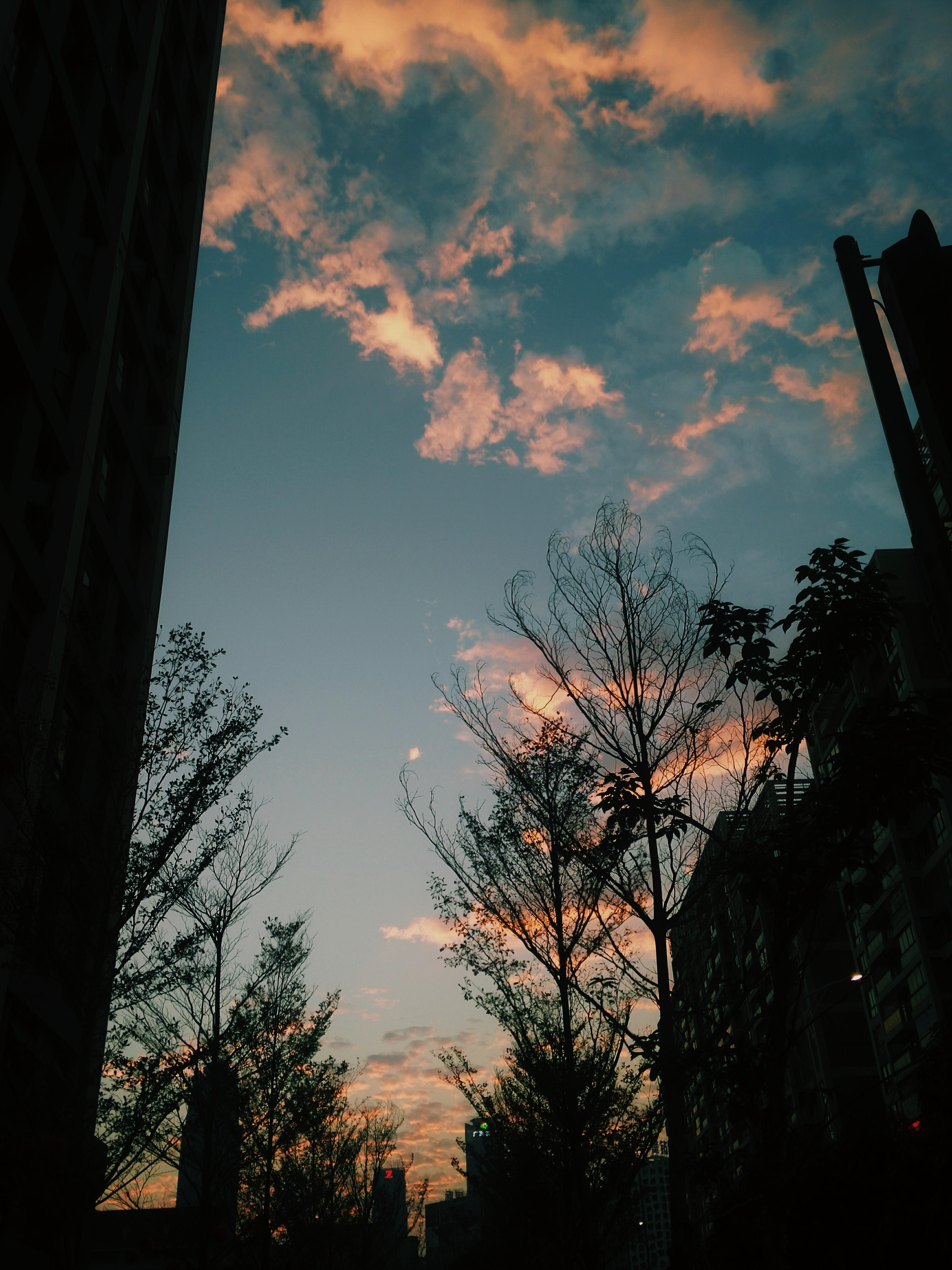 前人作怪_王宇程_前人作怪 | 在线播放_前人作怪歌词_前人作怪下载 | 网易云音乐