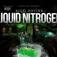 Bigg Havikk