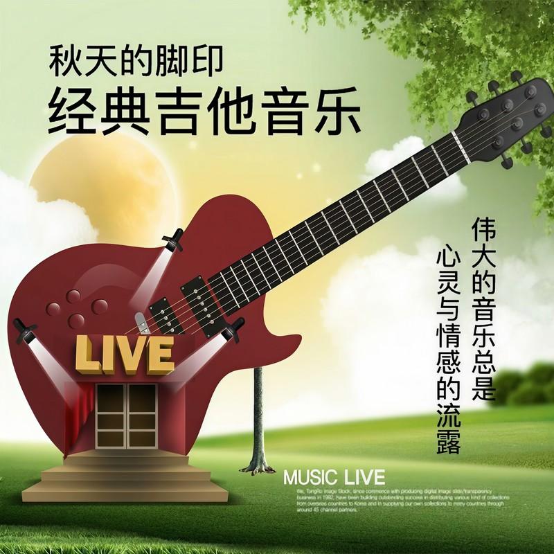 鸽子 (Live)封面