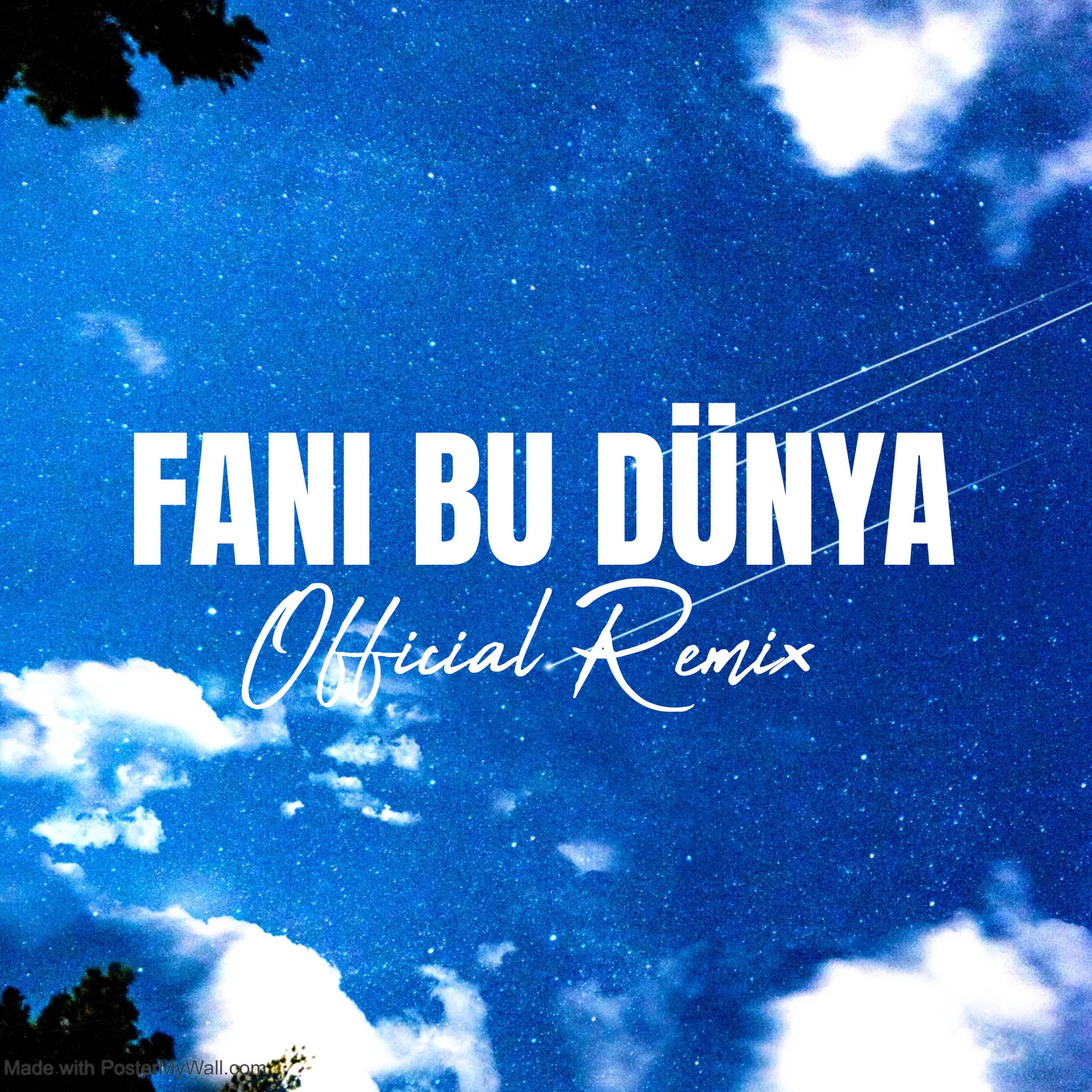 Fani bu dünya (Remix)