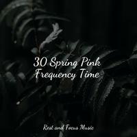 30 Spring Pink Frequency Time