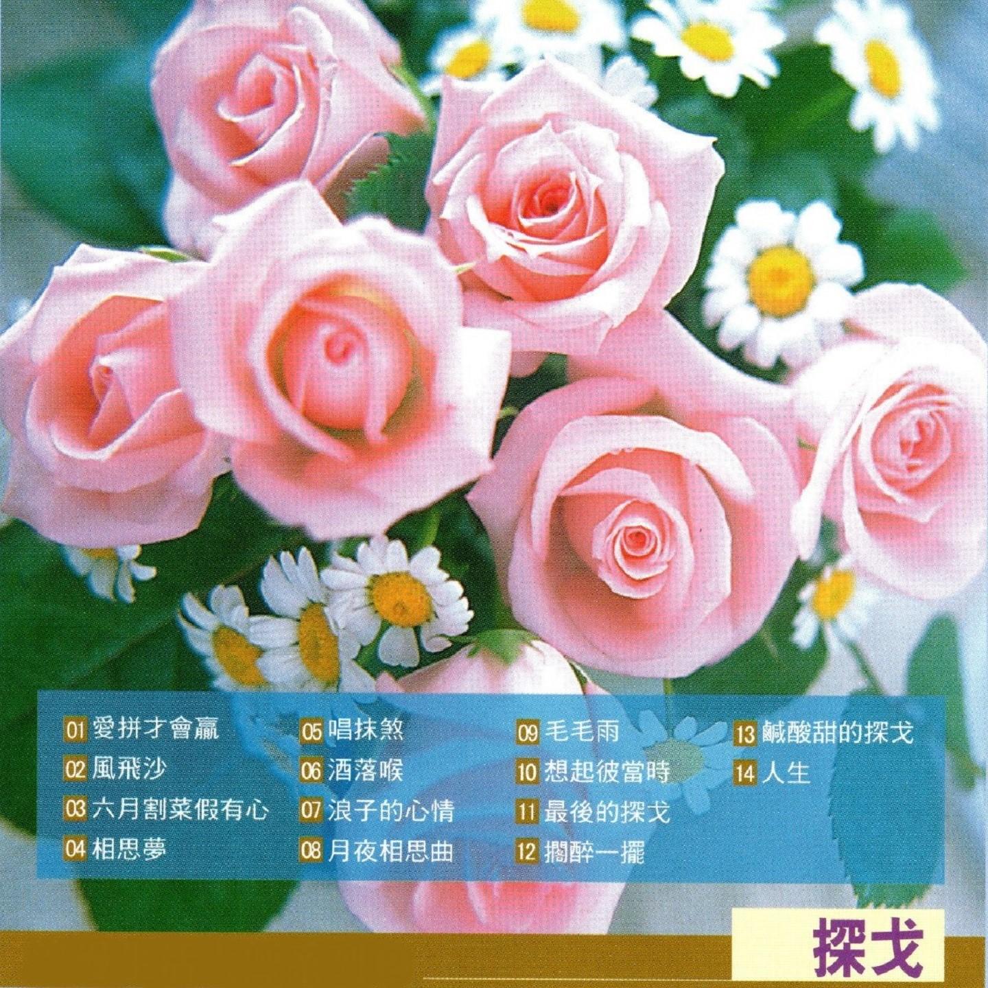 風飛沙封面