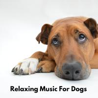 Relaxing Music for Dogs